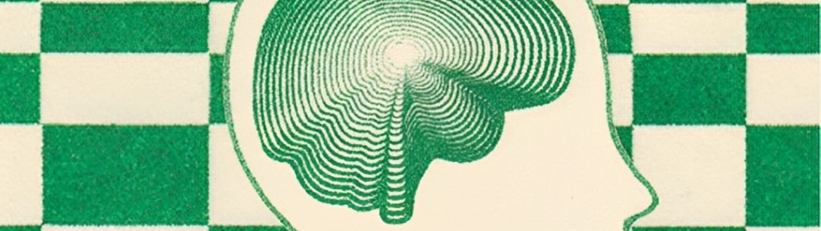 Existem muitos tipos de inteligência