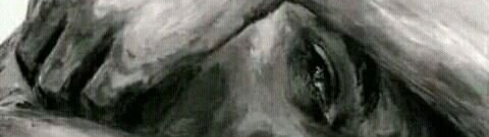 O oposto da depressão não é felicidade