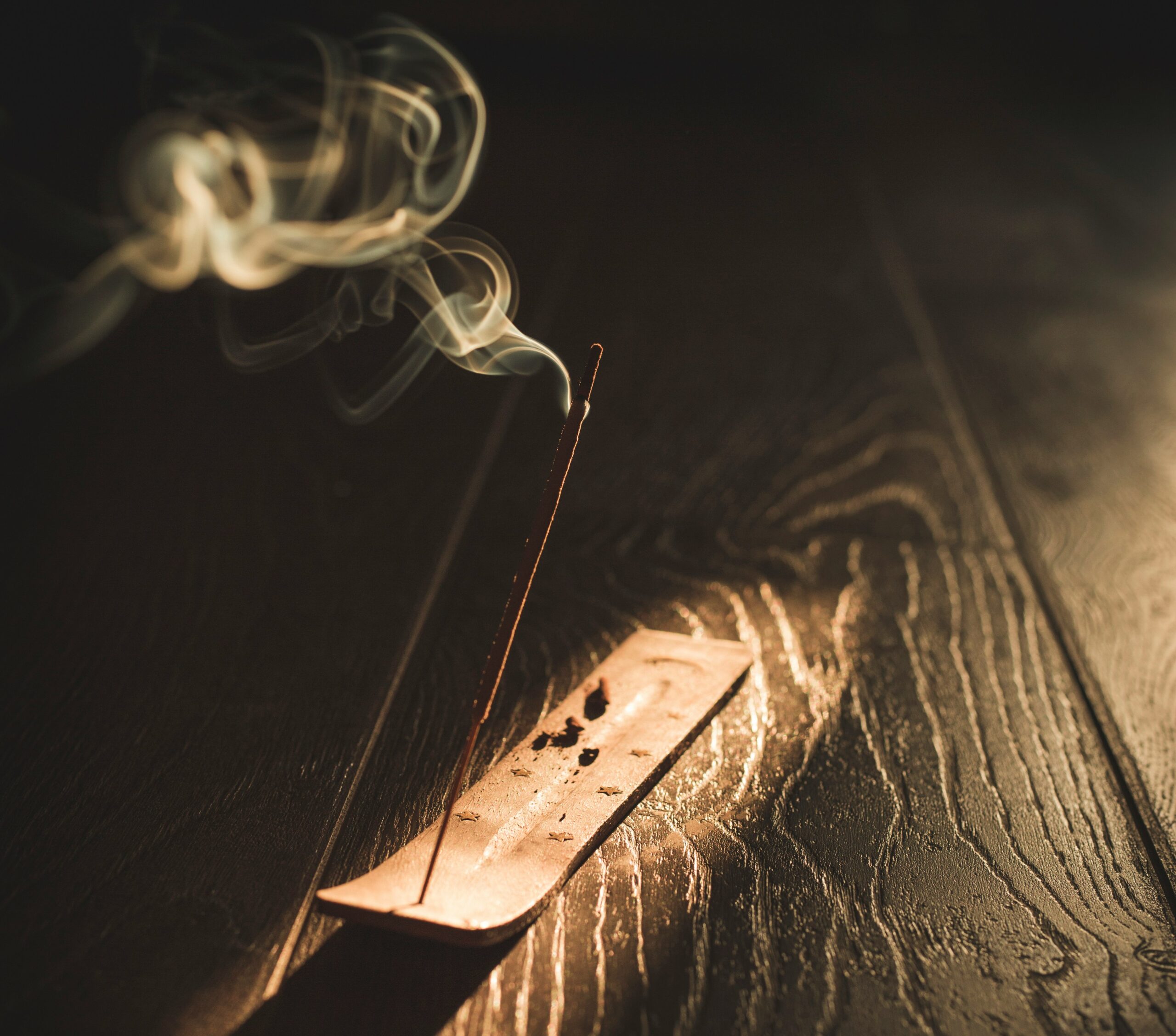 petr-sidorov-C_2Xg3TPiAY-unsplash